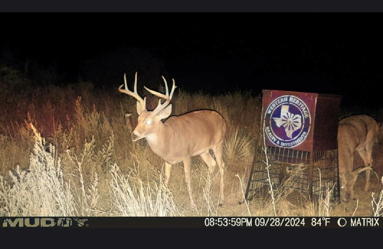 7 A Co Road Clarendon, TX 79226 - Photo 70 of 72 IMG_0773