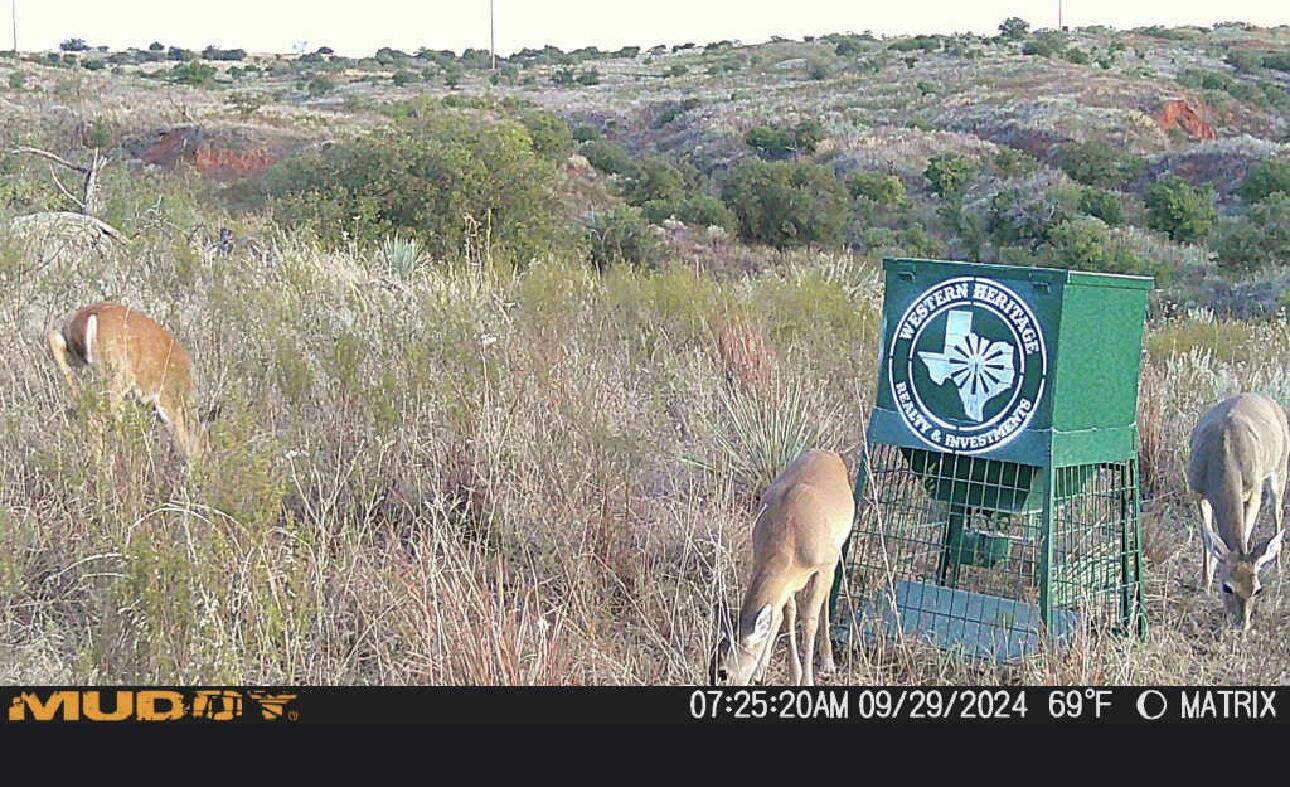 7 A Co Road Clarendon, TX 79226 - Photo 71 of 72 IMG_0774