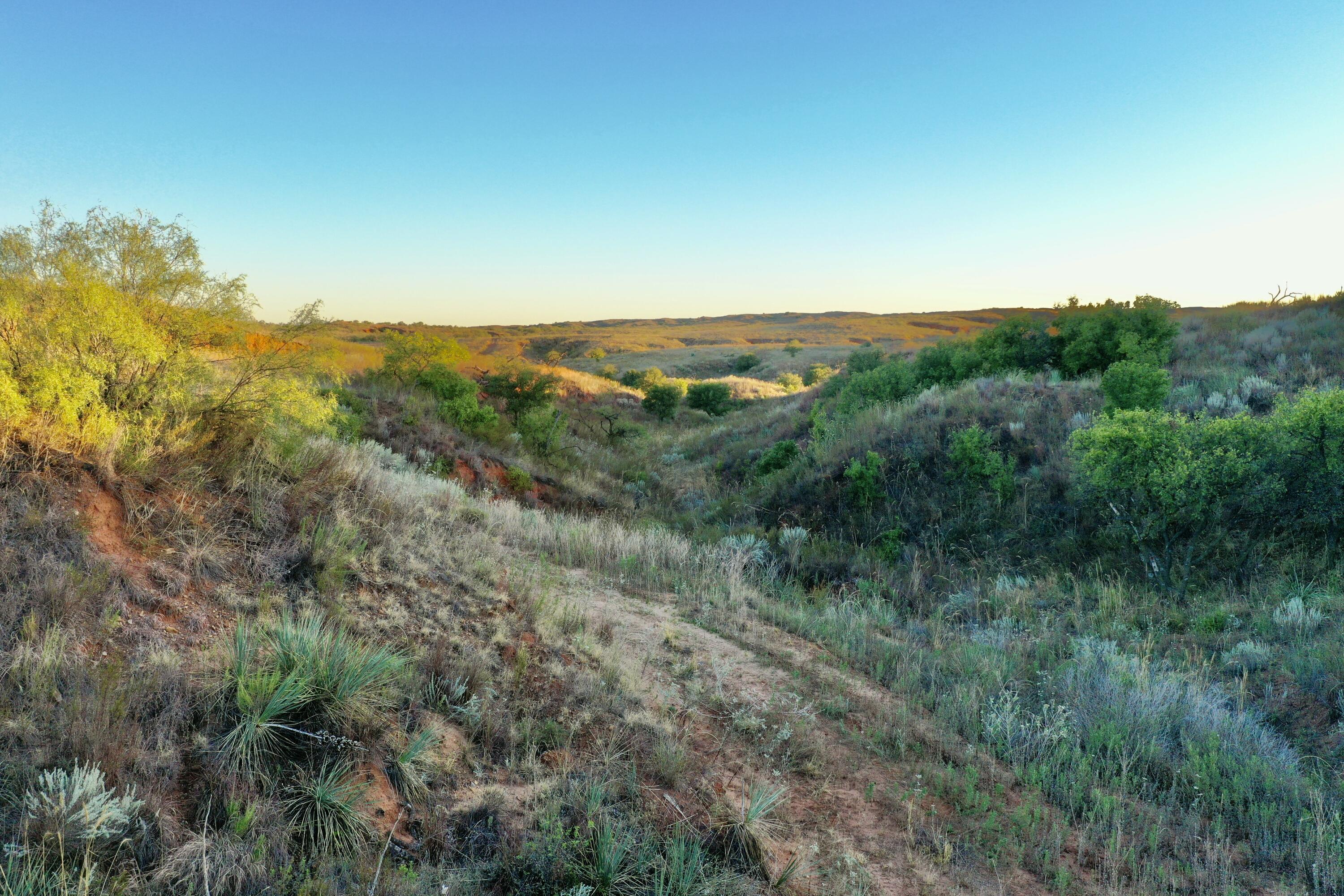 7 A Co Road Clarendon, TX 79226 - Photo 8 of 72 a view of a lush green space with sea