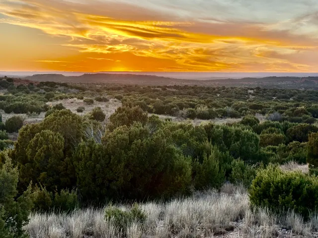 $1,767,600 | 7 A Co Road, Clarendon, TX 79226