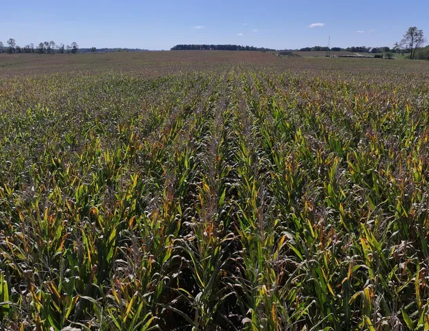 $1,562,896 | 169.88-acres Stump Ridge Road, Viroqua, WI 54665