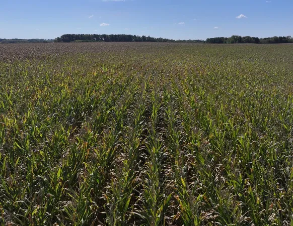 $1,520,426 | 169.88-acres Stump Ridge Road, Viroqua, WI 54665