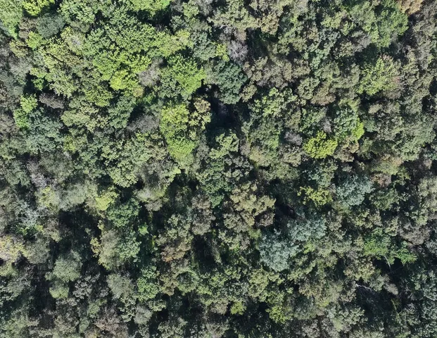 $1,562,896 | 169.88-acres Stump Ridge Road, Viroqua, WI 54665