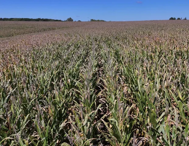 $1,562,896 | 169.88-acres Stump Ridge Road, Viroqua, WI 54665