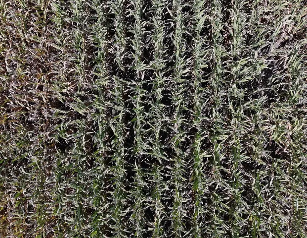 $1,562,896 | 169.88-acres Stump Ridge Road, Viroqua, WI 54665