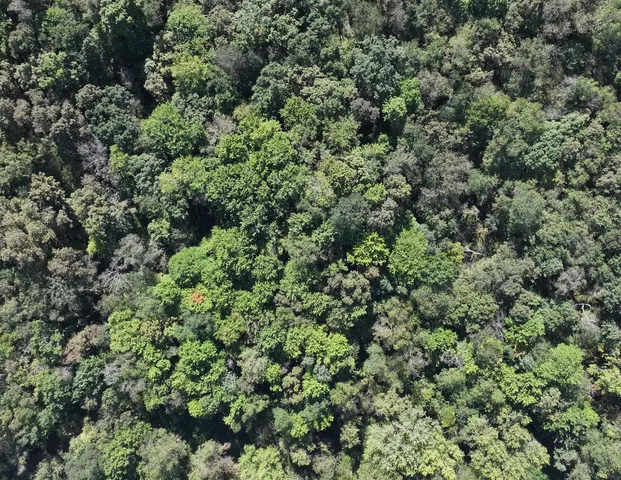 $1,562,896 | 169.88-acres Stump Ridge Road, Viroqua, WI 54665