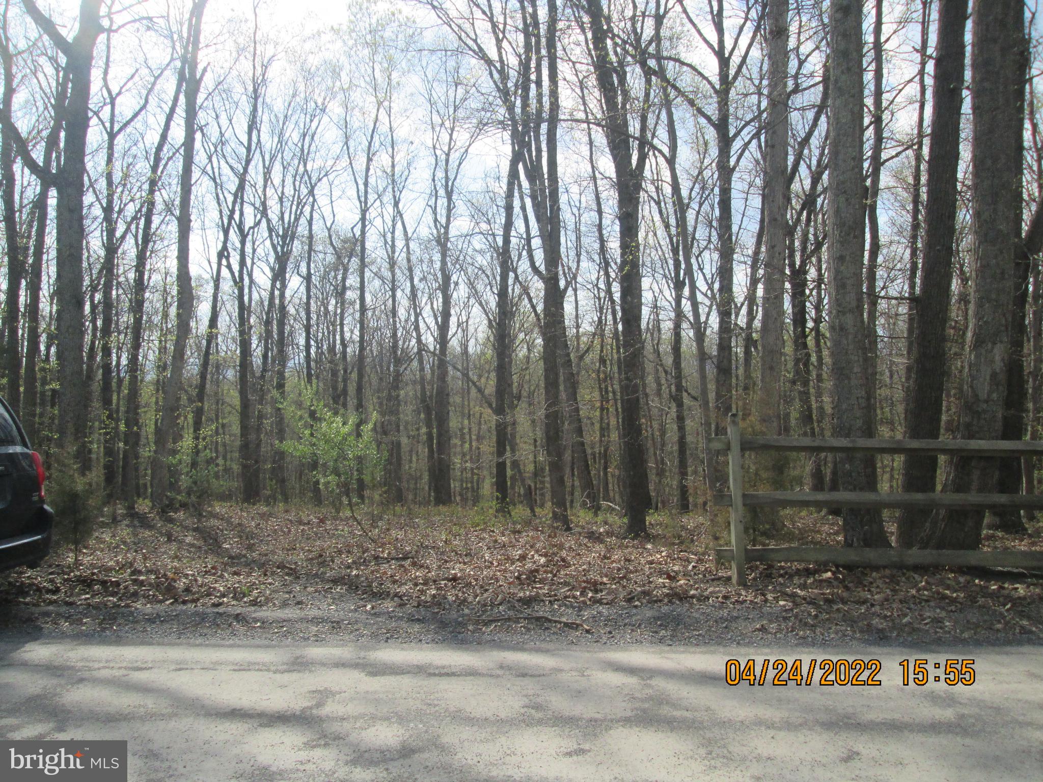 820 Whissens Ridge Road Winchester, VA 22602 - Photo 3 of 9 Gallery Image 3