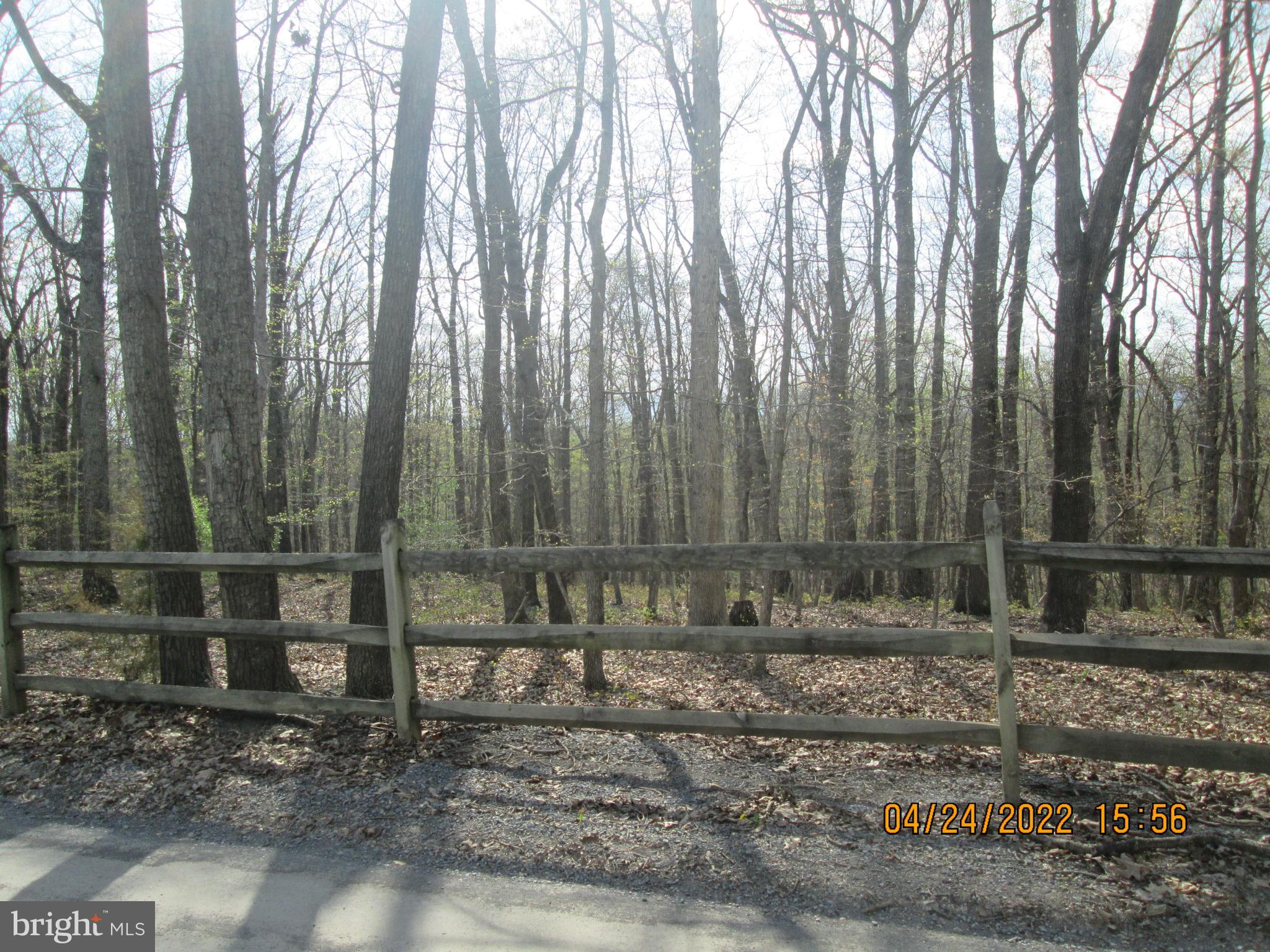 820 Whissens Ridge Road Winchester, VA 22602 - Photo 7 of 9 Gallery Image 7