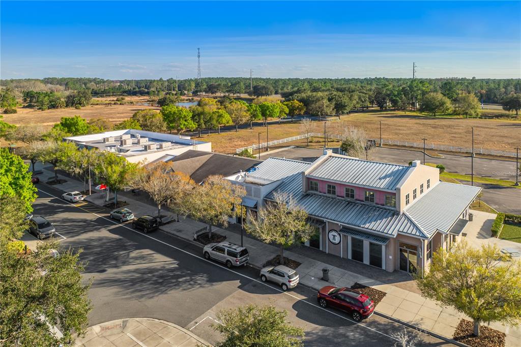 6844 Sundrop Street Harmony, FL 34773 - Photo 61 of 67 an aerial view of residential houses with outdoor space