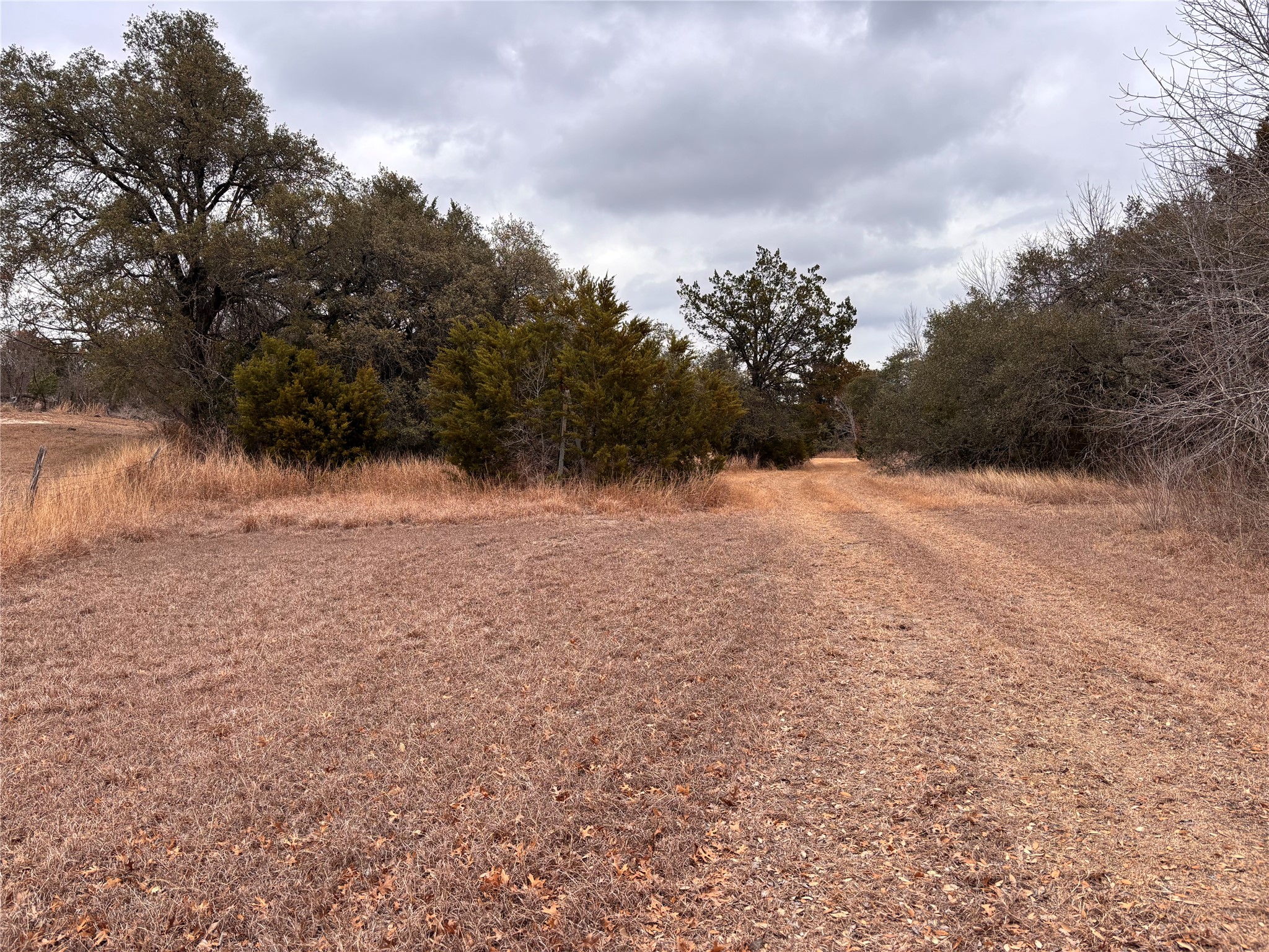2150 County Road 153 Georgetown, TX 78626 - Photo 28 of 37