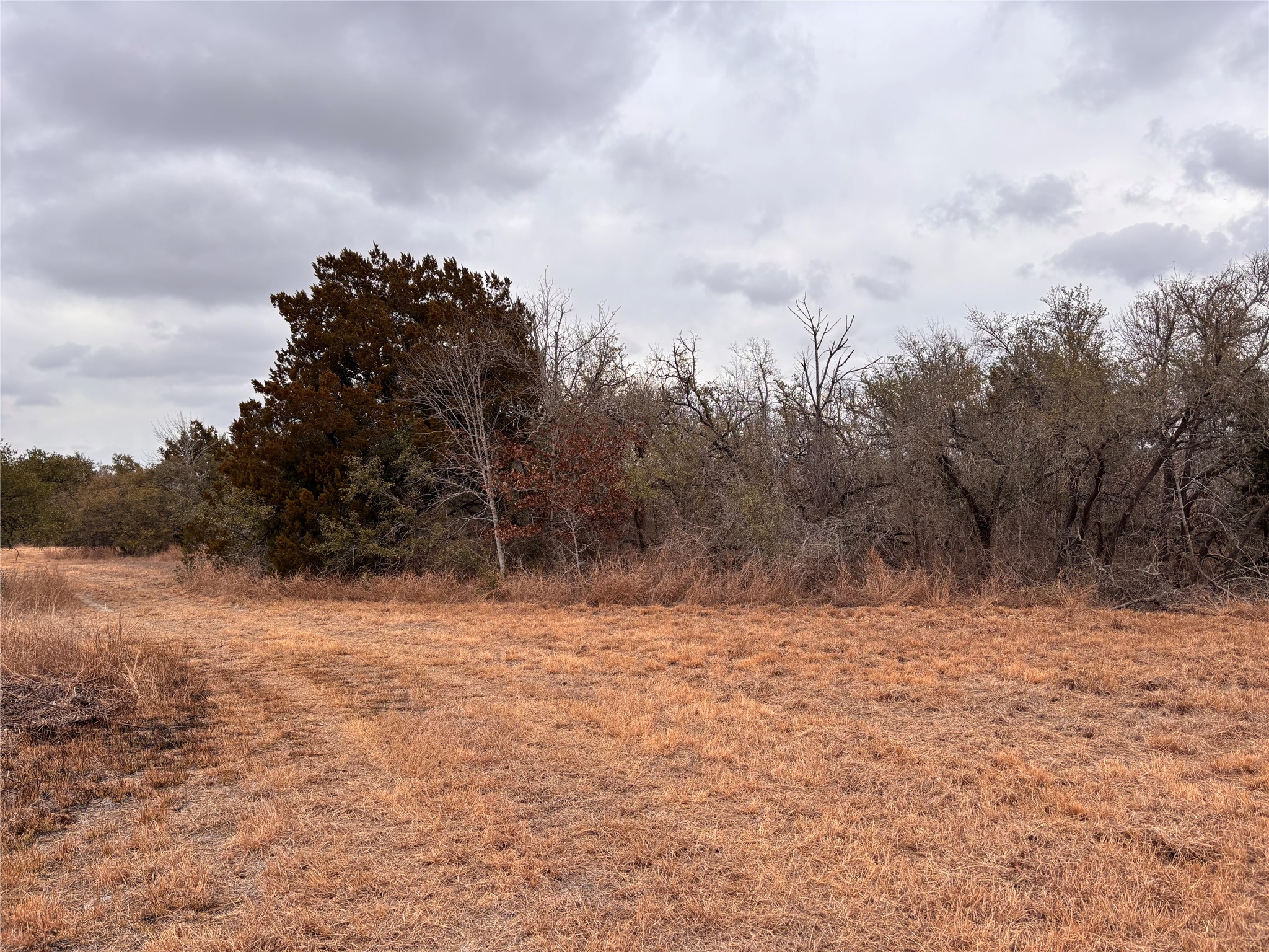 2150 County Road 153 Georgetown, TX 78626 - Photo 31 of 37