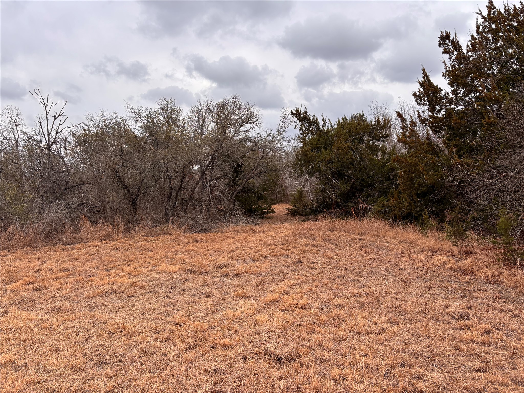 2150 County Road 153 Georgetown, TX 78626 - Photo 32 of 37