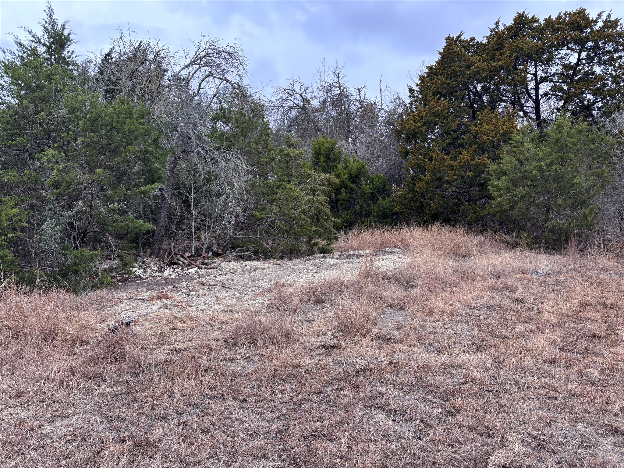 2150 County Road 153 Georgetown, TX 78626 - Photo 33 of 37