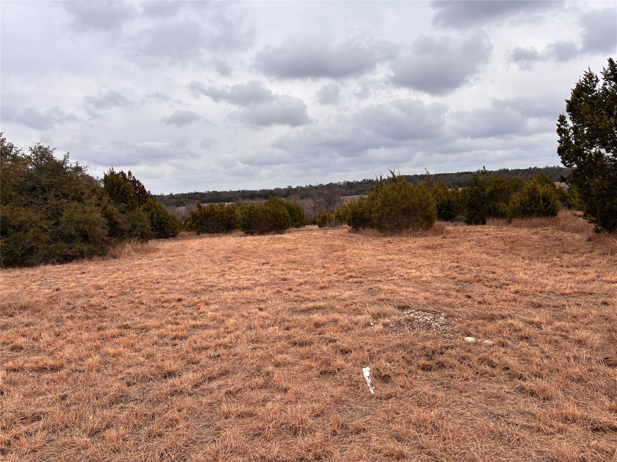 2150 County Road 153 Georgetown, TX 78626 - Photo 35 of 37