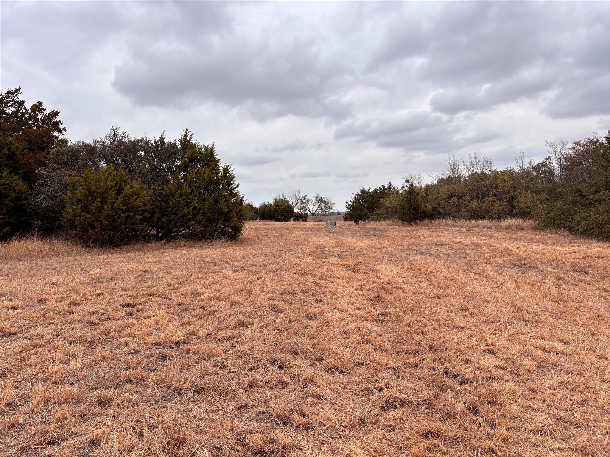 2150 County Road 153 Georgetown, TX 78626 - Photo 36 of 37