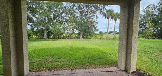 a view of a garden with a tree