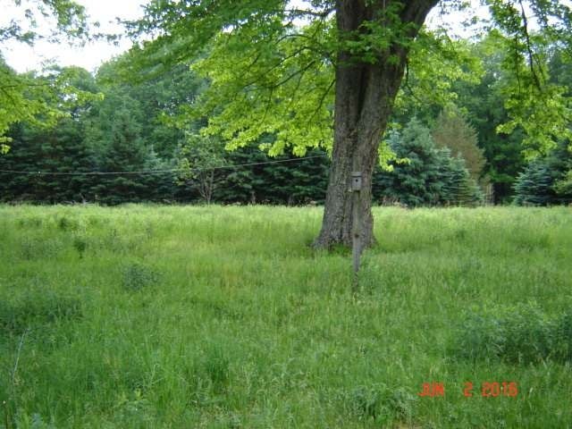 7014 Cherry Grove Road Clarendon, PA 16313 - Photo 4 of 12 Gallery Image 4