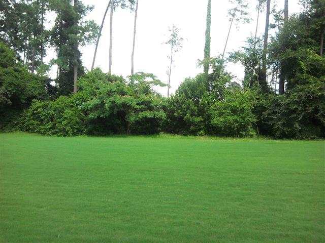 2440 Hoffman Road Foxfire, NC 27281 - Photo 4 of 6 Additional Photo