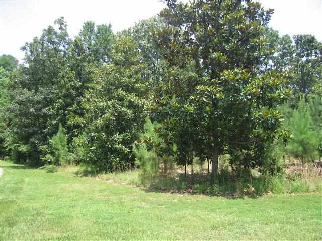2440 Hoffman Road Foxfire, NC 27281 - Photo 5 of 6 Additional Photo