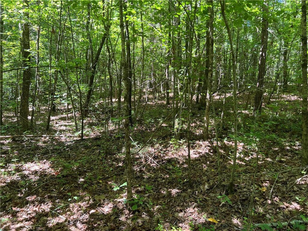 0 Fortner Road Ball Ground, GA 30107 - Photo 9 of 22