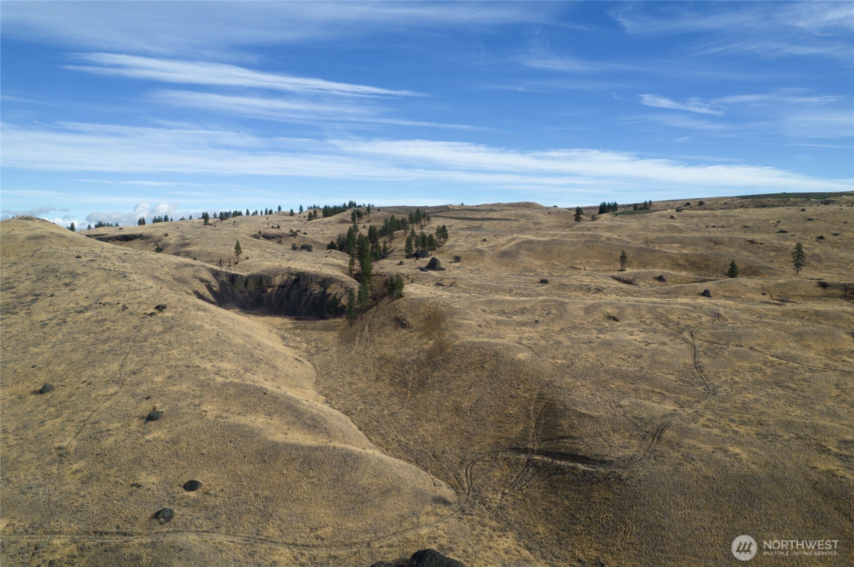 a view of beach and ocean