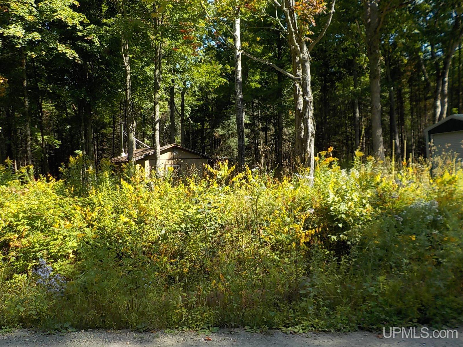 182 Wests Road Crystal Falls, MI 49920 - Photo 33 of 38