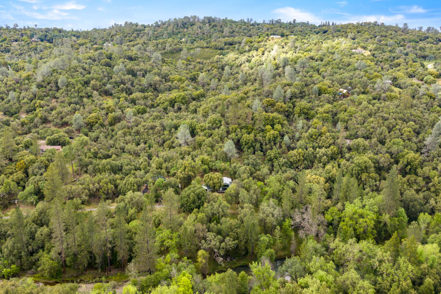 7321 Morning Canyon Road Placerville, CA 95667 - Photo 39 of 39 a view of a green field