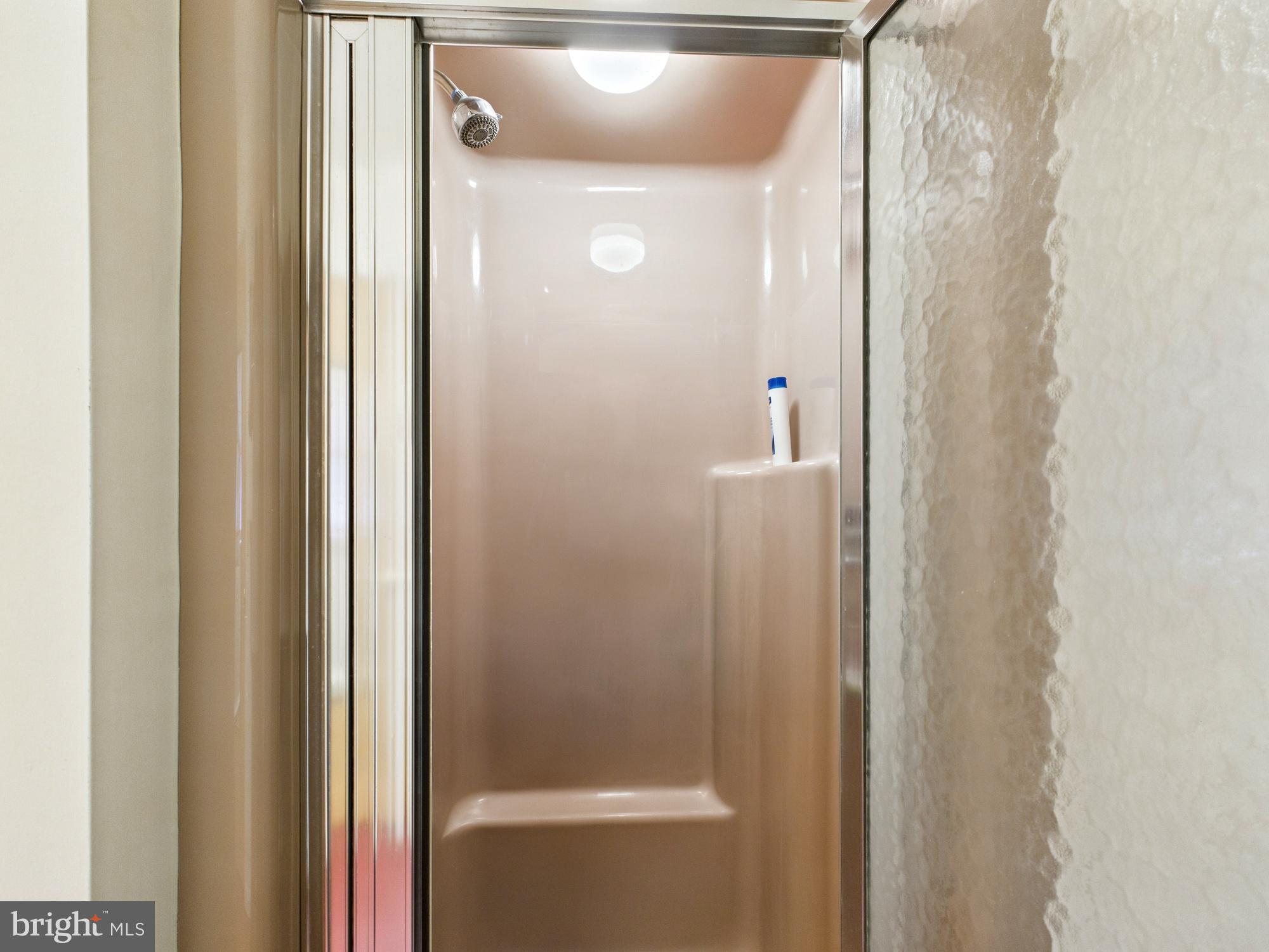 22421 Cedar Lane Georgetown, DE 19947 - Photo 31 of 56 Master walkin Shower