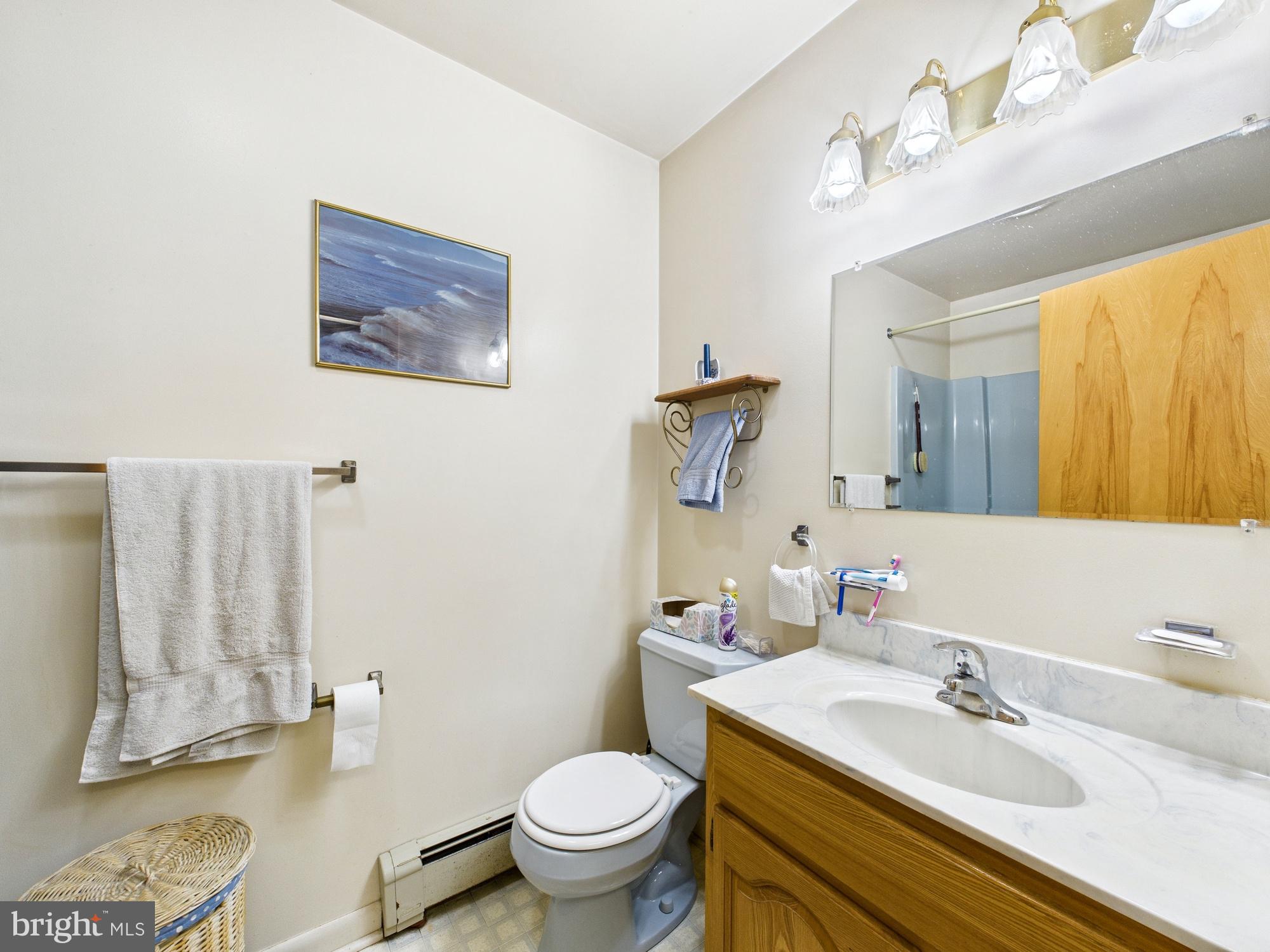 22421 Cedar Lane Georgetown, DE 19947 - Photo 47 of 56 2nd bathroom