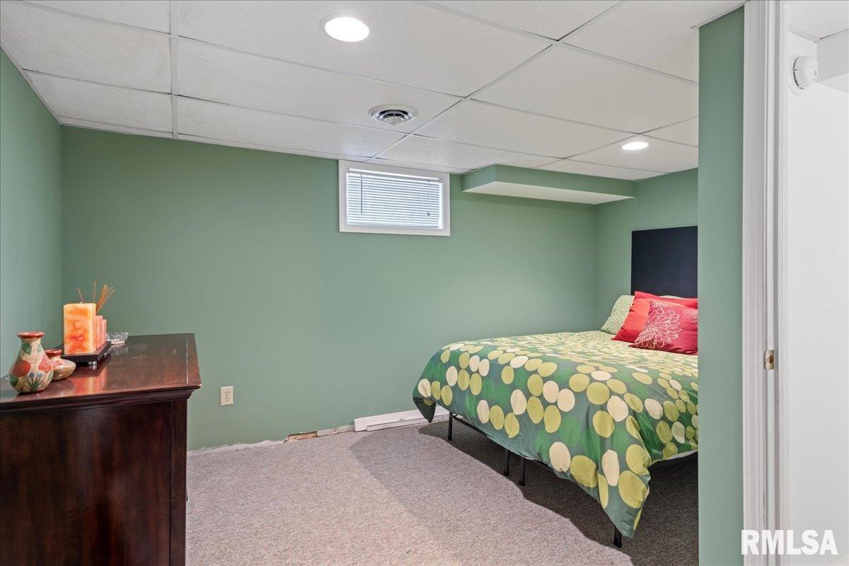 817 South Park Avenue Springfield, IL 62704 - Photo 42 of 51