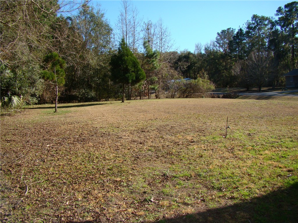 105 Eagles Nest Place Brunswick, GA 31525 - Photo 17 of 18 Large side yard