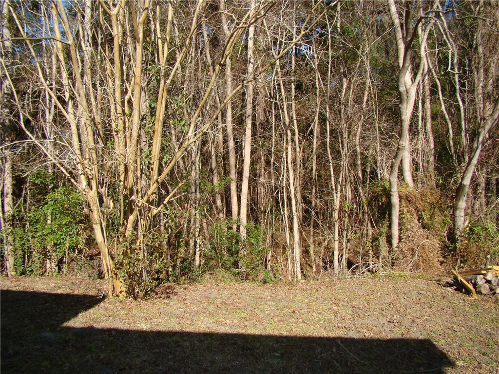105 Eagles Nest Place Brunswick, GA 31525 - Photo 18 of 18 Back yard very private.
