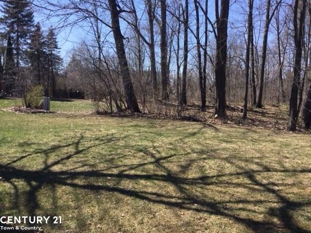 3235 Edmunton Drive Rochester Hills, MI 48306 - Photo 51 of 61