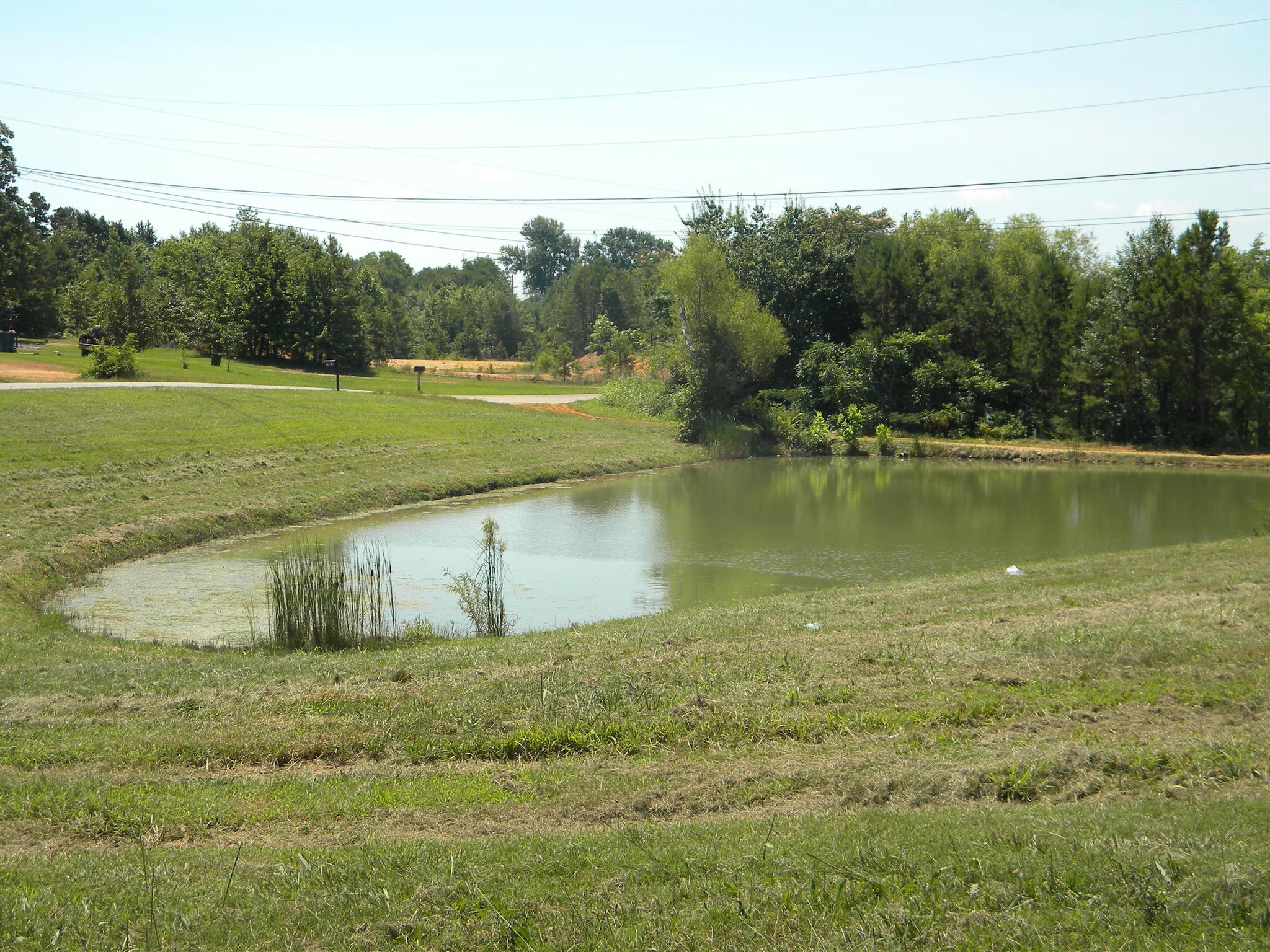 159 Happy Hollow Road Hohenwald, TN 38462 - Photo 3 of 12 Stocked pond