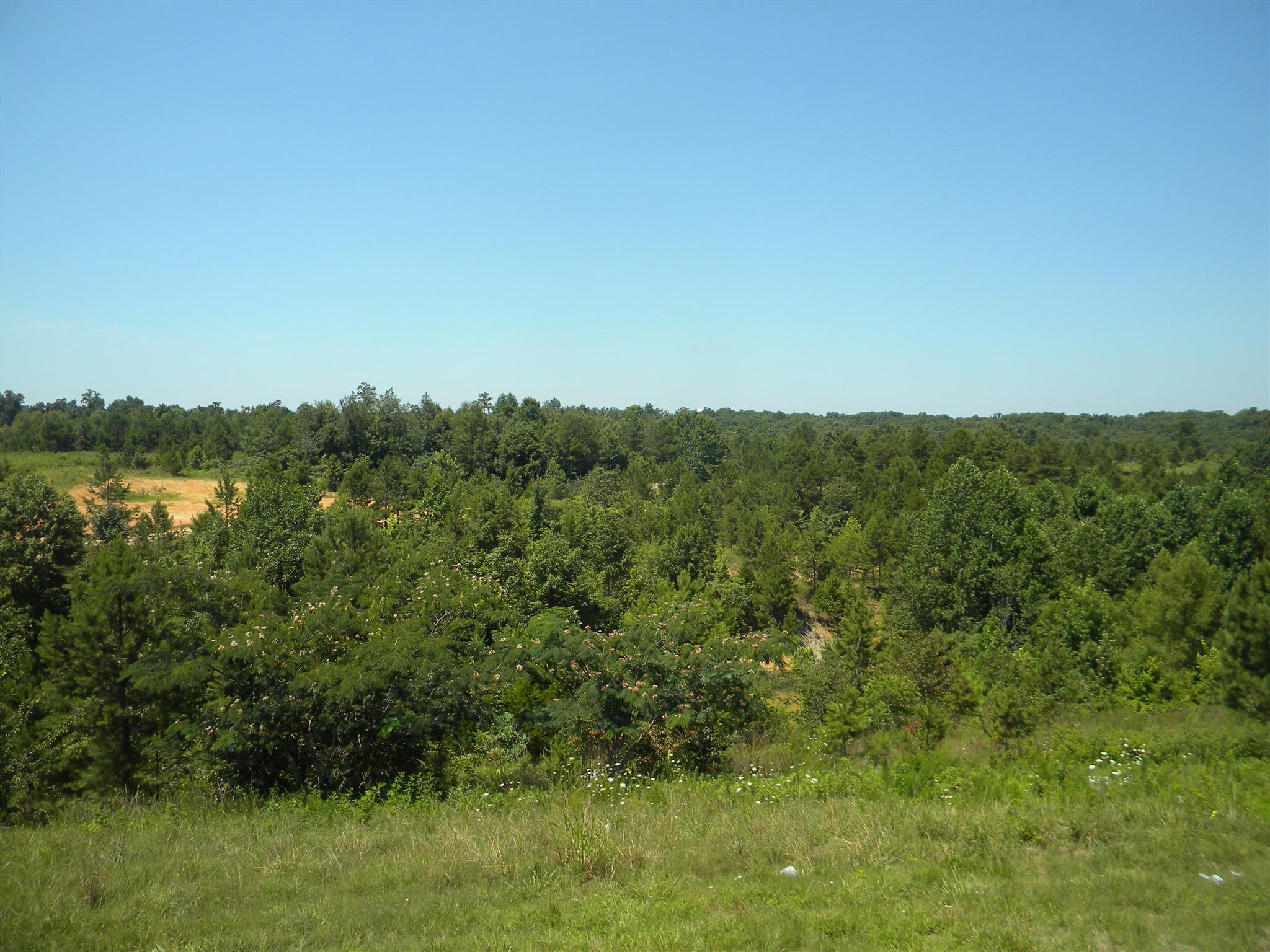 159 Happy Hollow Road Hohenwald, TN 38462 - Photo 8 of 12 View from top deck