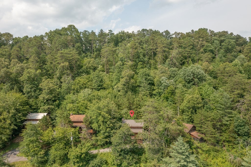 3029 Birds Creek Road, Unit 3 Sevierville, TN 37876 - Photo 20 of 23 Gallery Image 20