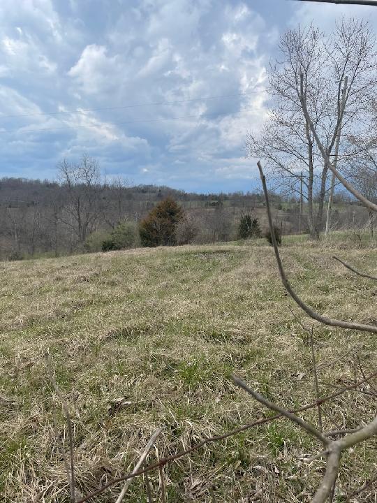 1550 Leaning Oak Road Corinth, KY 41010 - Photo 4 of 10 Gallery Image 4