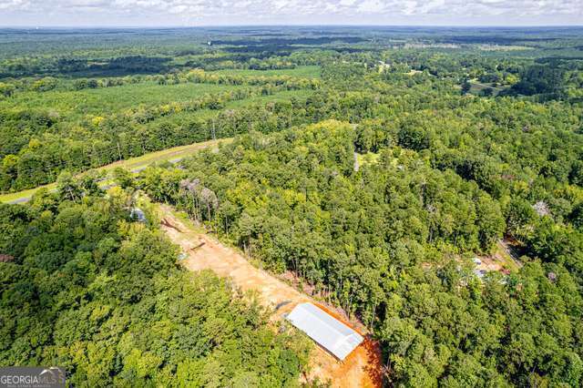 0 Braswell Lake Road Gray, GA 31032 - Photo 12 of 15 Gallery Image 12