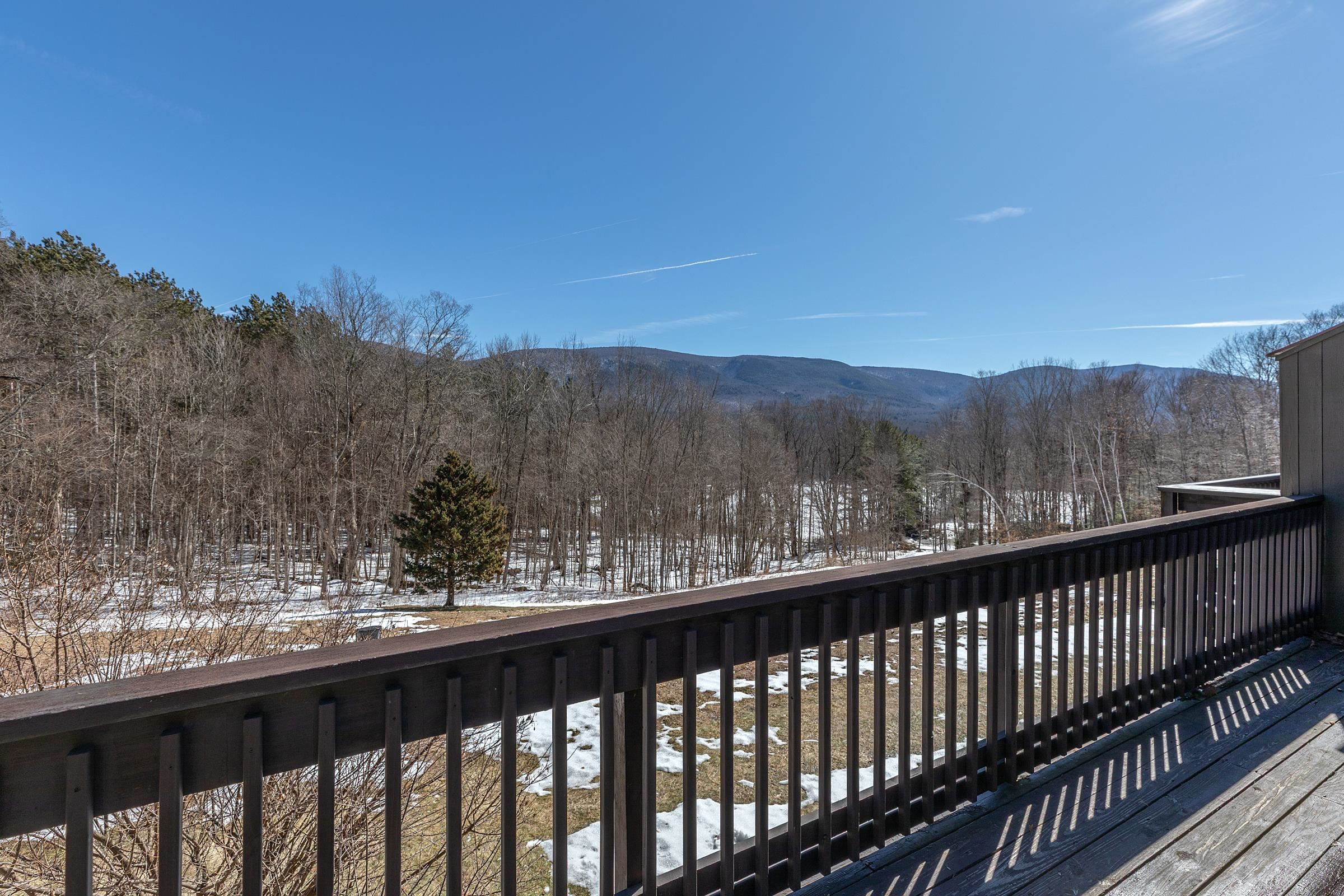 94 Murray Hill Woods Road, Unit 64 Manchester, VT 05255 - Photo 41 of 49