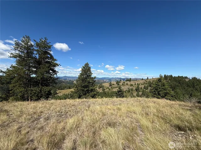 a view of outdoor space and trees all around