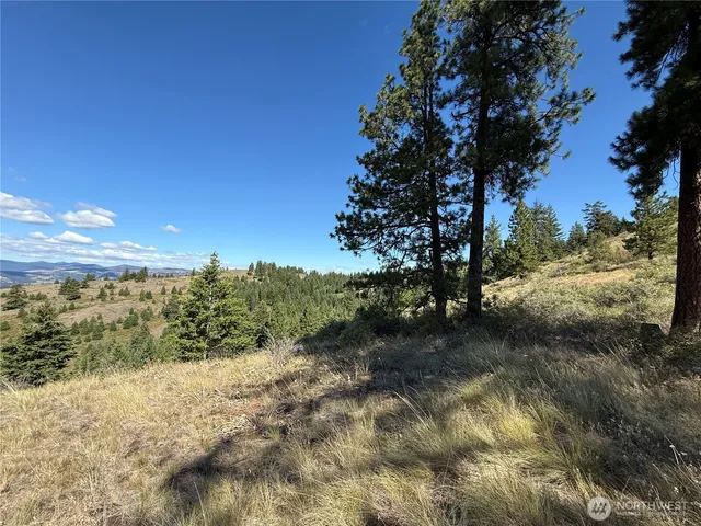 a view of a houses with a yard