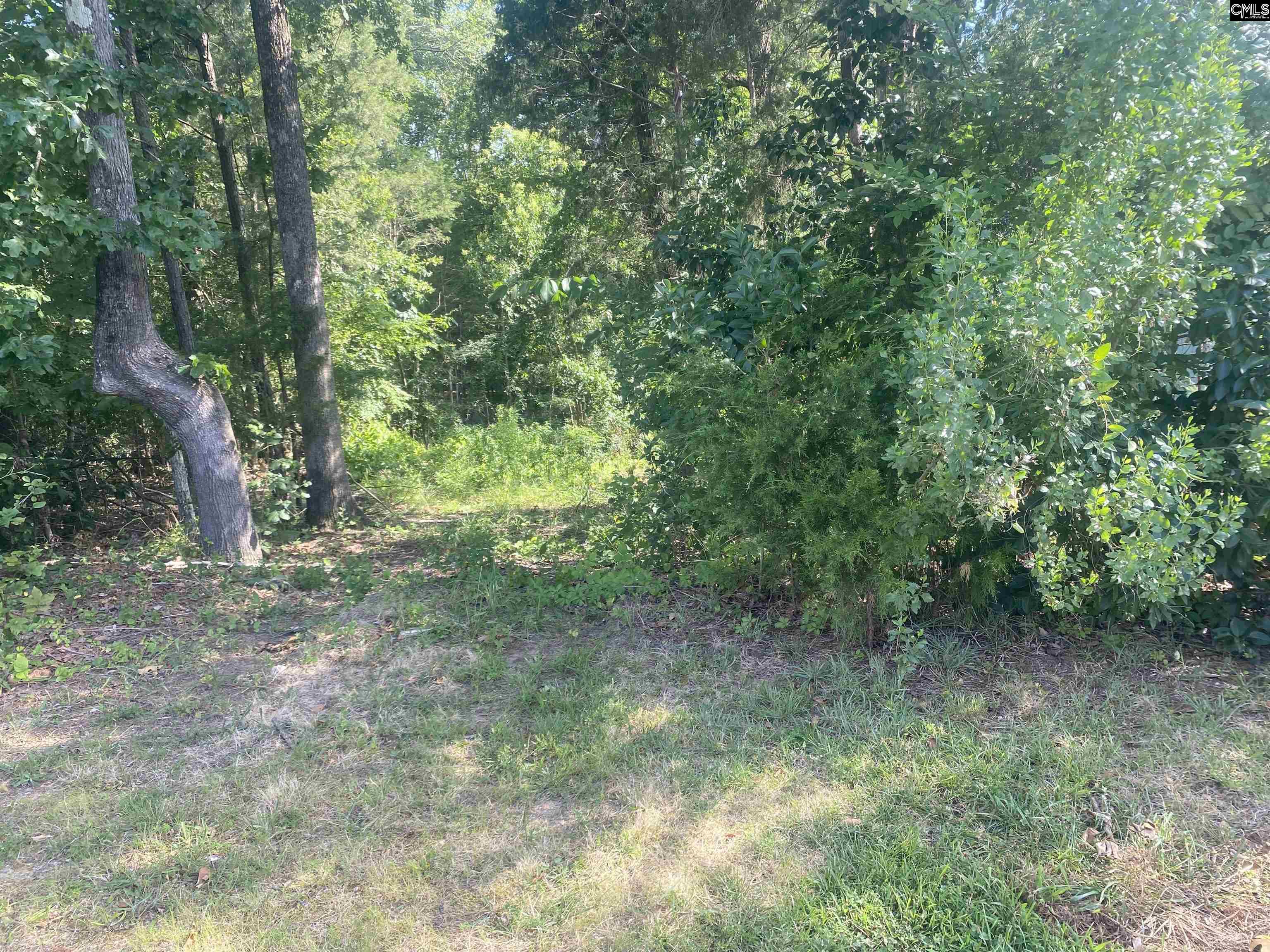 115 Beacon Point Road Irmo, SC 29063 - Photo 2 of 4
