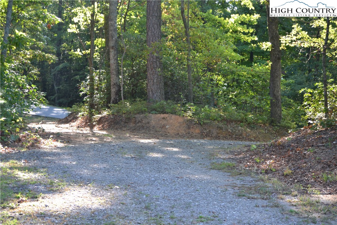 37 Elk Horn Road Ferguson, NC 28624 - Photo 6 of 13 a view of a yard with plants and trees