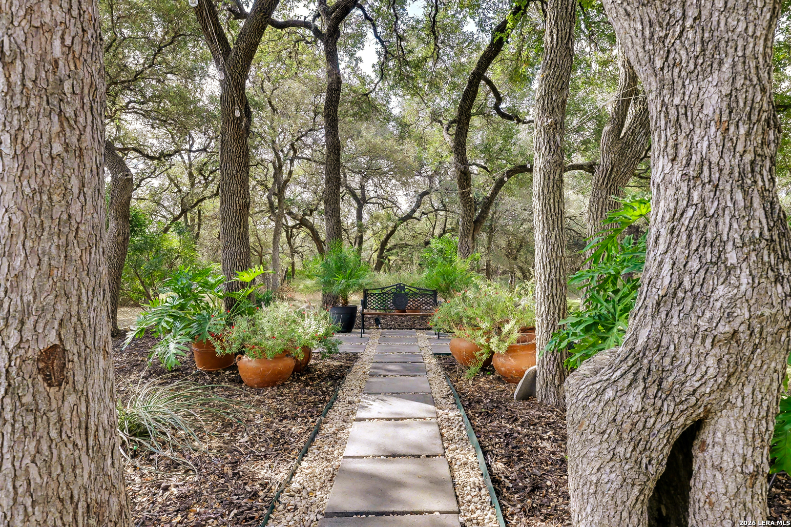 154 Quarry Point New Braunfels, TX 78132 - Photo 8 of 40