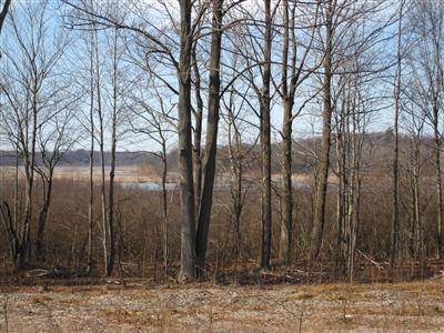 6330 Riverside Drive Fennville, MI 49408 - Photo 3 of 8 Additional Photo
