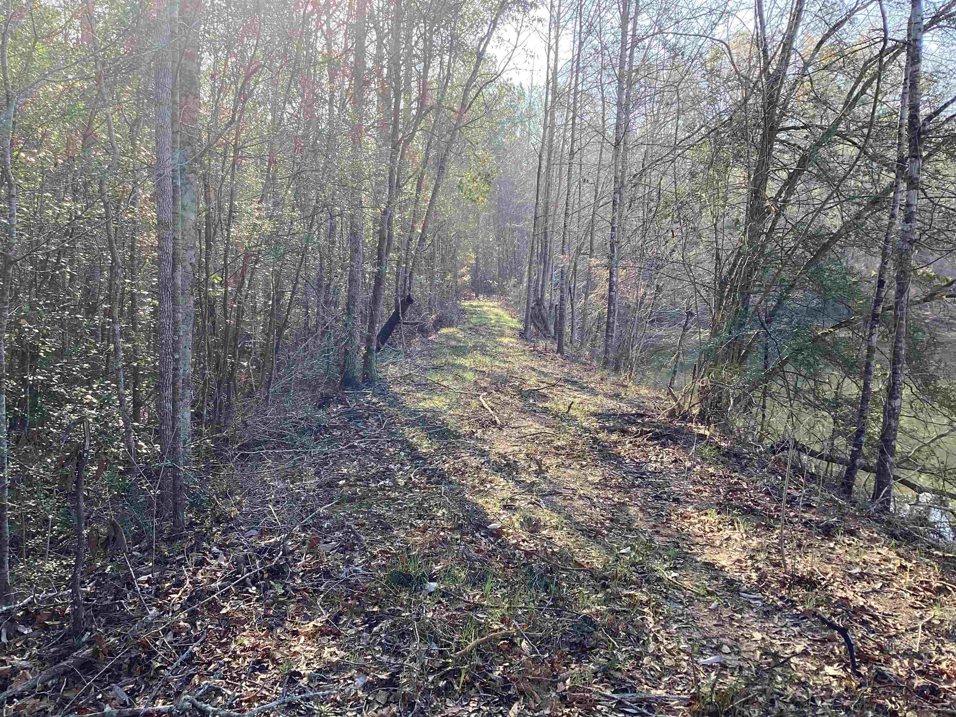 108 Carlisle Road Andalusia, AL 36421 - Photo 7 of 37 Gallery Image 7