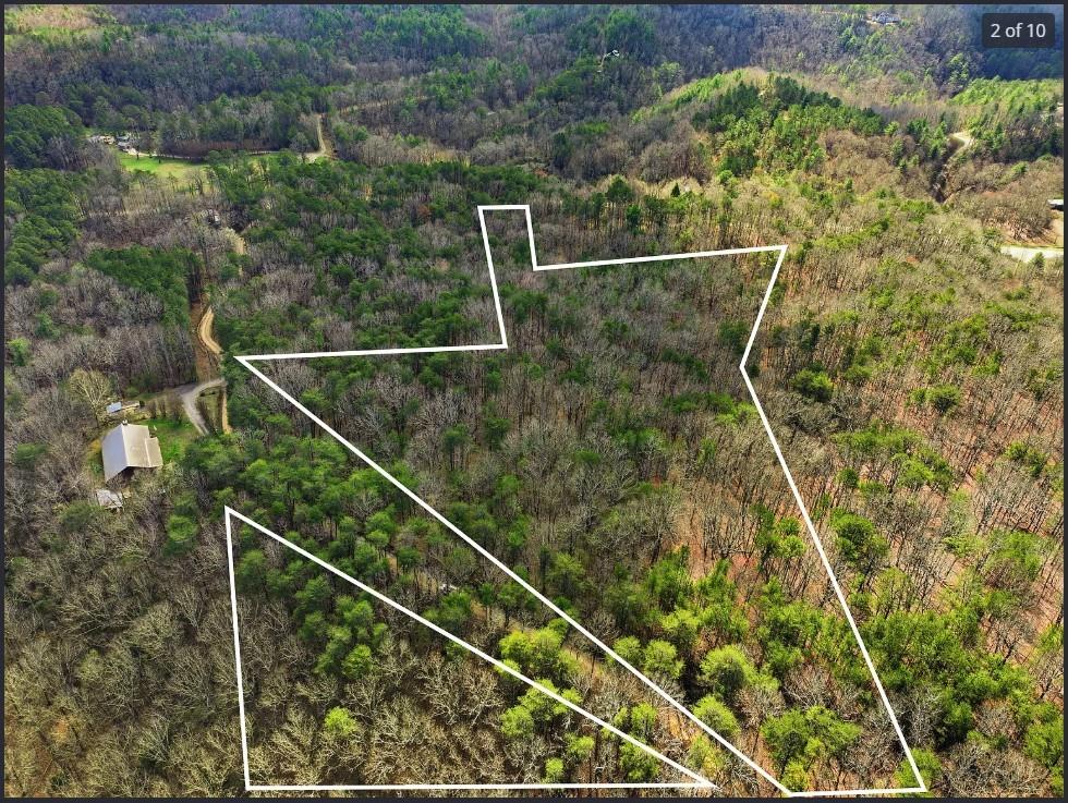 64 Bull Gap Road Talking Rock, GA 30175 - Photo 3 of 11 Gallery Image 3