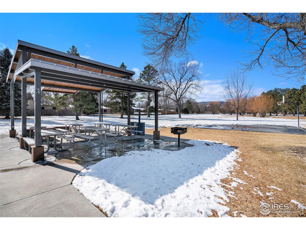 1031 Castlerock Drive Fort Collins, CO 80521 - Photo 6 of 15 a view of a swimming pool with a patio