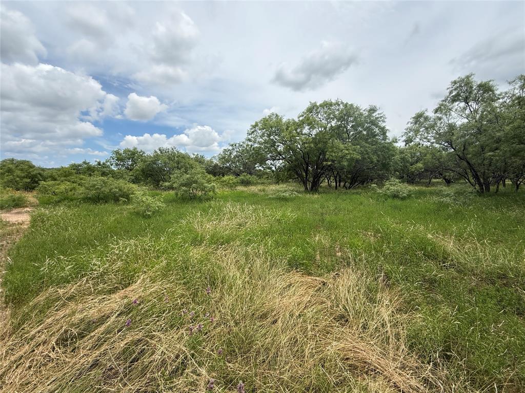 Tbd Coppic Ranch Road Brownwood, TX 76801 - Photo 9 of 13