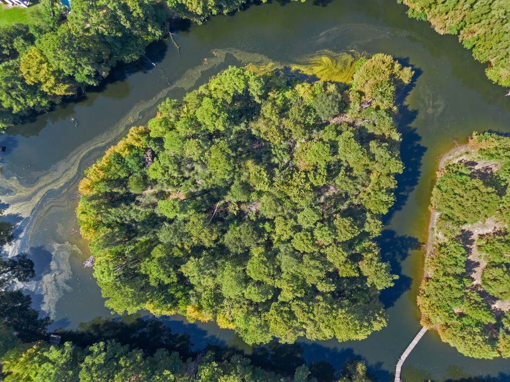 18162 Atkinson Lane Conroe, TX 77384 - Photo 31 of 50 Island in middle of the lake directly accessible by back yard gate. All lakes accessible by land owners
